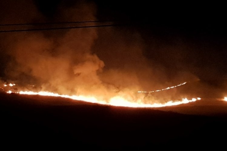 &Ccedil;orum Alaca'da anız yangını &ccedil;ıktı