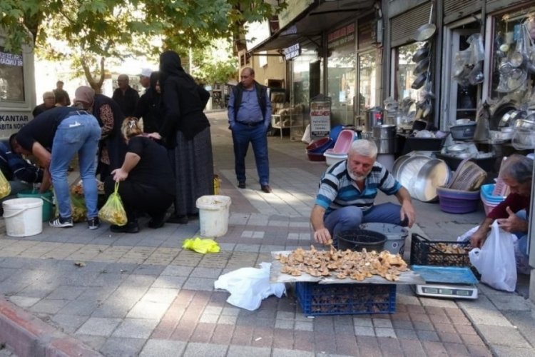 K&uuml;tahya'da Melki adı verilen mantar i&ccedil;in pazar kuruldu