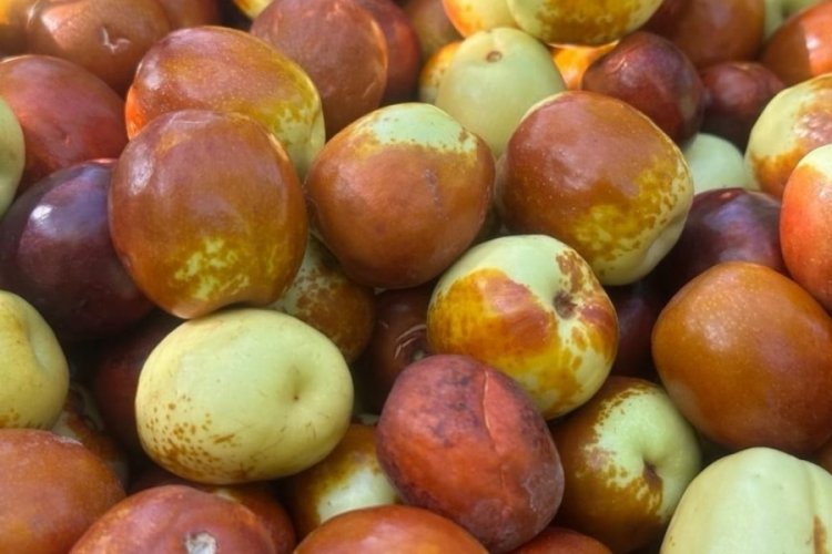 &Ouml;l&uuml;m&uuml; dahi erteliyor! H&uuml;nnaplı yoğurt yiyin, etkisini g&ouml;r&uuml;n...