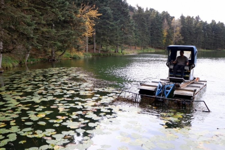 G&ouml;lc&uuml;k Tabiat Parkı'nda g&ouml;l y&uuml;zeyi temizleniyor