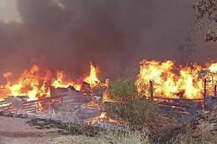 Kastamonu'da b&uuml;y&uuml;k yangın! 40 ev ve ahır alevlere teslim oldu