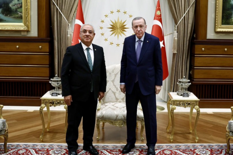 Erdoğan, DSP Genel Başkanı Aksakal'ı kabul etti