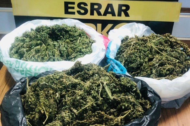 Manisa'da uyuşturucu operasyonu