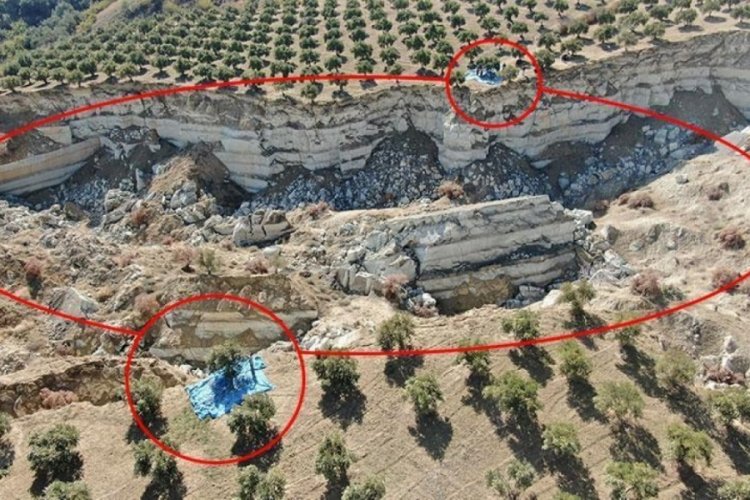 Hatay'da zeytin bah&ccedil;esinde tedirgin eden hasat başladı