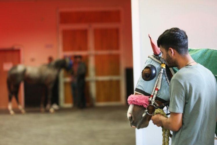 Bursa Osmangazi Hipodromu'ndaki atlar 7/24 a&ccedil;ık hastanede tedavi ediliyor