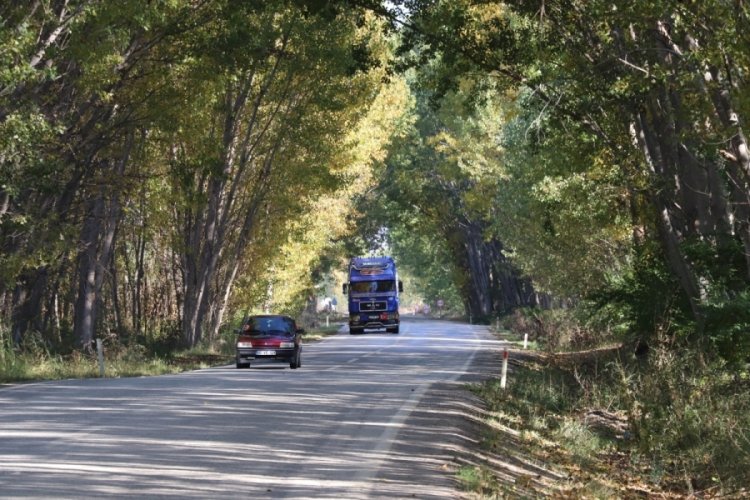 Tokat'ın ağa&ccedil; t&uuml;neli sonbaharda g&uuml;zelliğiyle mest ediyor