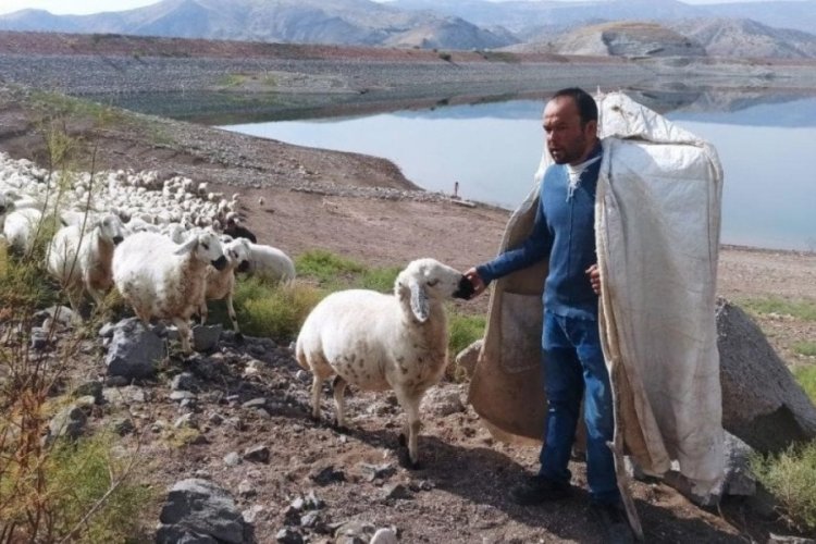 Malatya'da yayla sezonu bitti! D&ouml;n&uuml;ş yolculuğu başladı