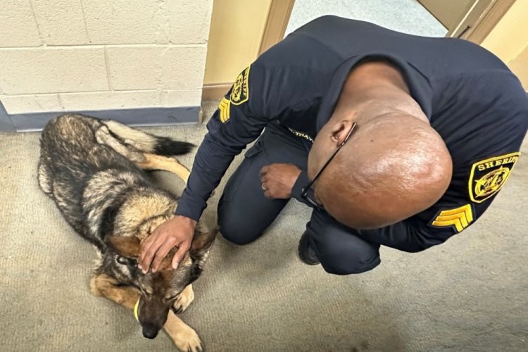 ABD'de kanser hastası K9 k&ouml;peği, polislerin selamlama kıtasıyla uğurlandı