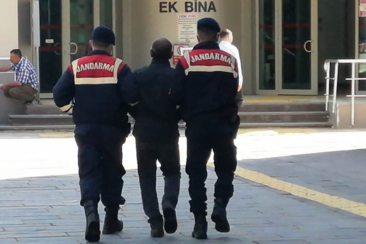 K&uuml;tahya'da jandarmadan mercek operasyonu