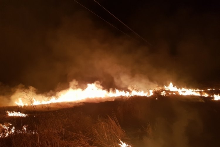 &Ccedil;orum'da 6 ayrı noktada anız yangını