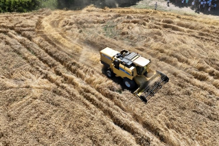 Bursa'da "Topraktan Halka, Tarladan Sofraya" projesi
