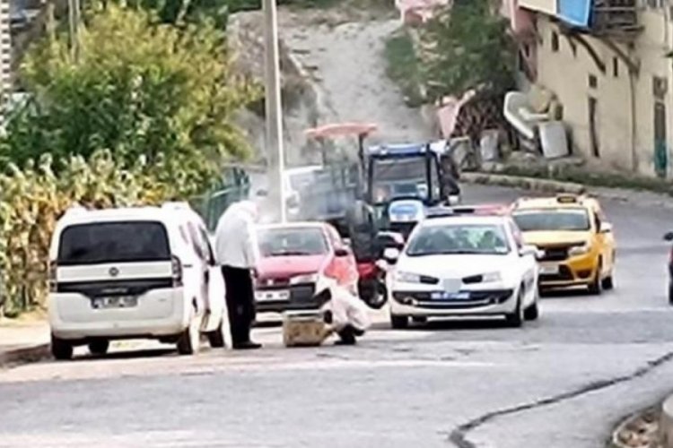 Devrilen kovandan &ccedil;ıkan arılar mahalleyi istila etti! Yaralananlar var