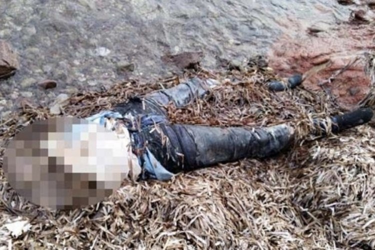 Muğla'da yarısı olmayan ceset bulundu