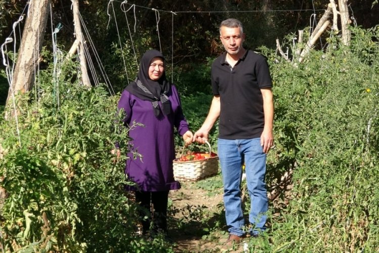 Yozgatlı &ccedil;ift, atalık tohum &uuml;retimiyle sağlıklı gıda i&ccedil;in m&uuml;cadele ediyor