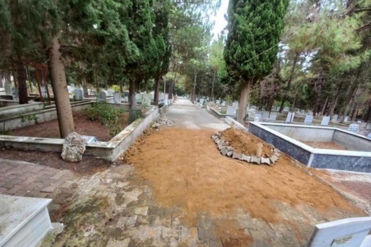 Sinop'ta koşarak geldi, g&ouml;rd&uuml;klerine inanamadı! Yoldaki mezar şoke etti