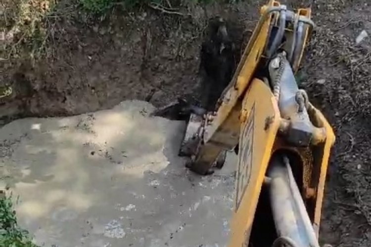 Bursa'da sulama havuzuna d&uuml;şen 3 domuz iş makinesi ile kurtarıldı