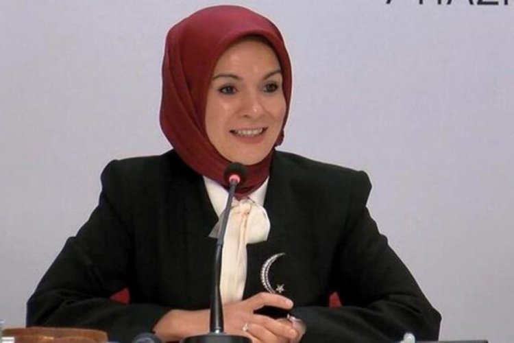 Bakan G&ouml;ktaş: Avrupa'da ilk baş&ouml;rt&uuml;l&uuml; milletvekili olarak meclise girdim