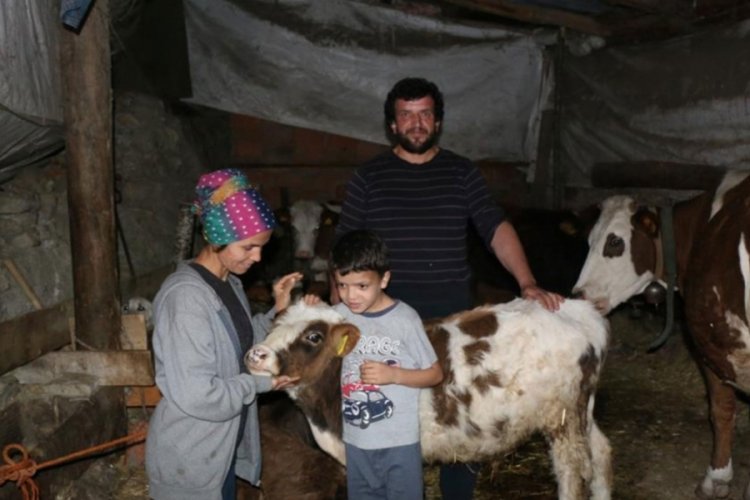 Ger&ccedil;eği hayvanlarına şap aşısı yaptırırken &ouml;ğrendi, şoke oldu