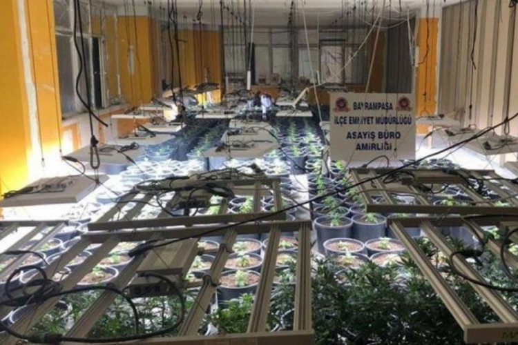 İstanbul'da şoke eden g&ouml;r&uuml;nt&uuml;ler ortaya &ccedil;ıktı