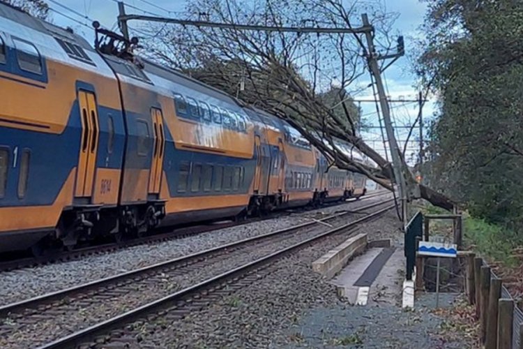 Hollanda'da etkili olan Ciaran Fırtınası can aldı
