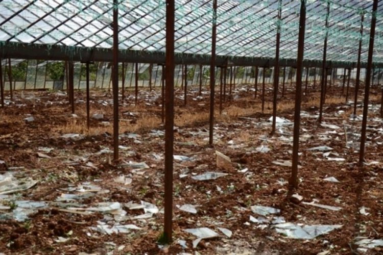 Antalya'daki seraları dolu vurdu