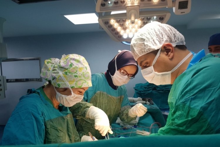 Bursa, organ bağışında liderliğini koruyor