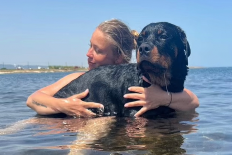 Sokakta y&uuml;r&uuml;rken kafasına k&ouml;pek d&uuml;şt&uuml;!