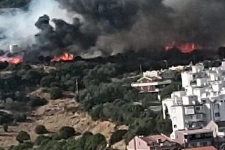 İzmir'de orman yangını