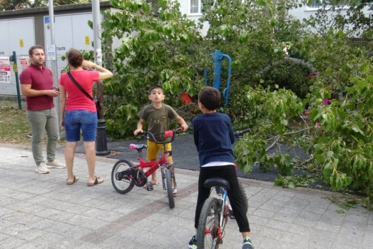 İstanbul'da parkta oynayan 3 &ccedil;ocuğun &uuml;zerine ağa&ccedil; devrildi