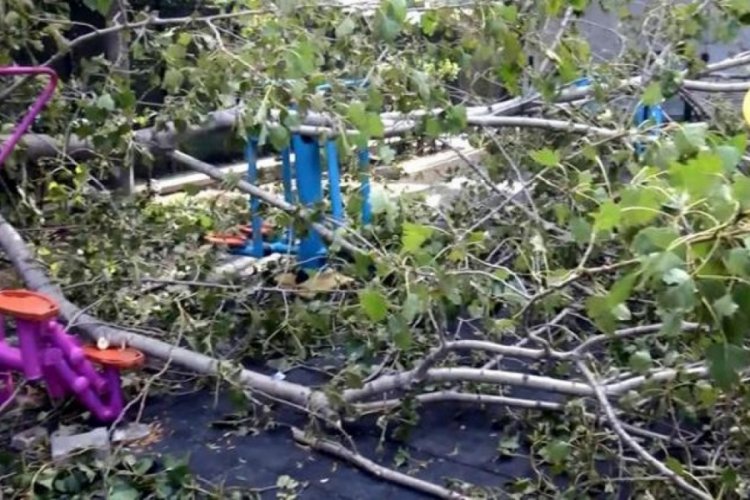 İstanbul'da ağa&ccedil;, oyun oynayan 3 &ccedil;ocuğun &uuml;zerine devrildi!