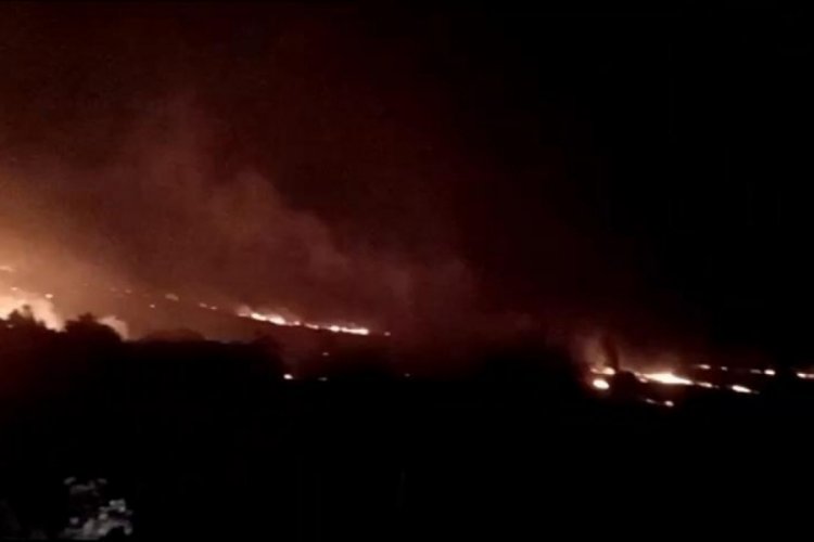 Balıkesir'de orman yangını!