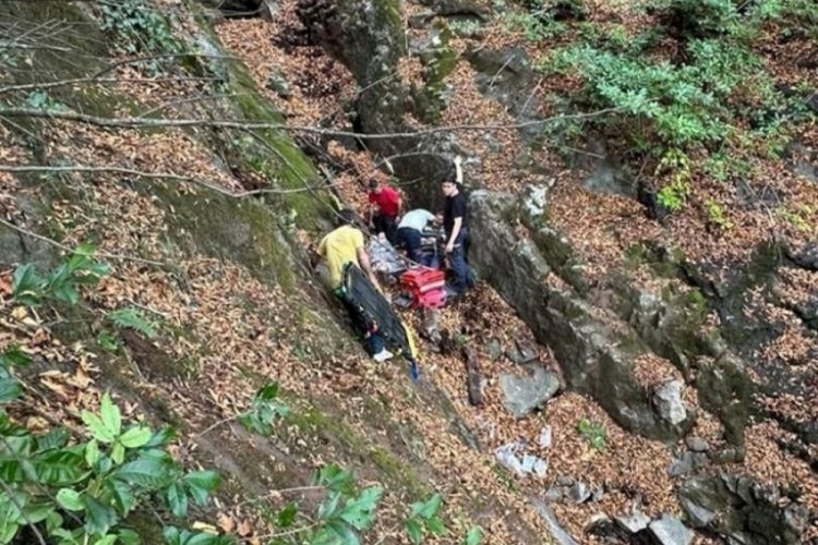 Abla-kardeş mantar toplarken u&ccedil;urumdan yuvarlandı