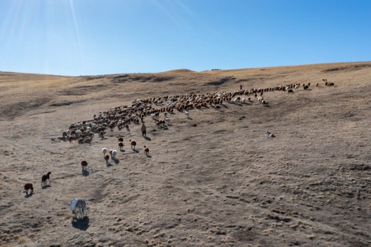 Erzurum'da hayvan &uuml;reticilerine kredi desteği