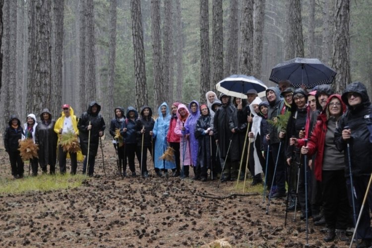Bursa'da doğaseverler Kocayayla'da doğa y&uuml;r&uuml;y&uuml;ş&uuml; d&uuml;zenledi