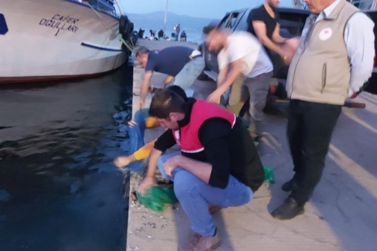 Bursa'da kum şırlanı avcılığı yapanlar kıskıvrak yakalandı!