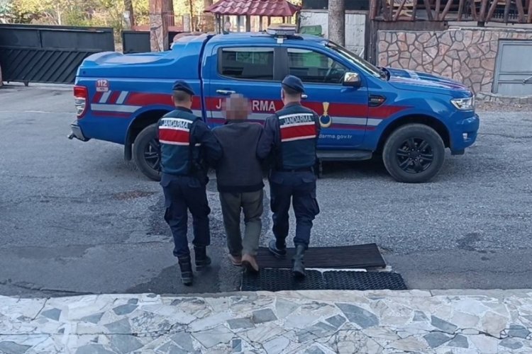 Mersin'de PKK/KCK operasyonu: 1 tutuklama