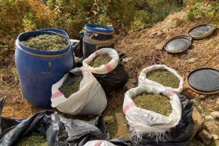 Ter&ouml;r&uuml;n finans kaynağına darbe, 1 ton 168 kilo esrar ele ge&ccedil;irildi