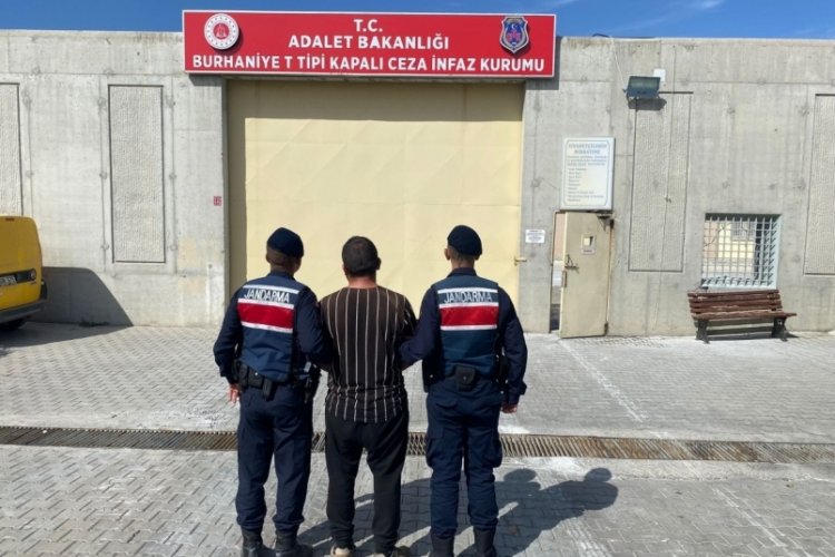 Balıkesir'de zeytin &ccedil;alarken yakalanan 3 kişi tutuklandı