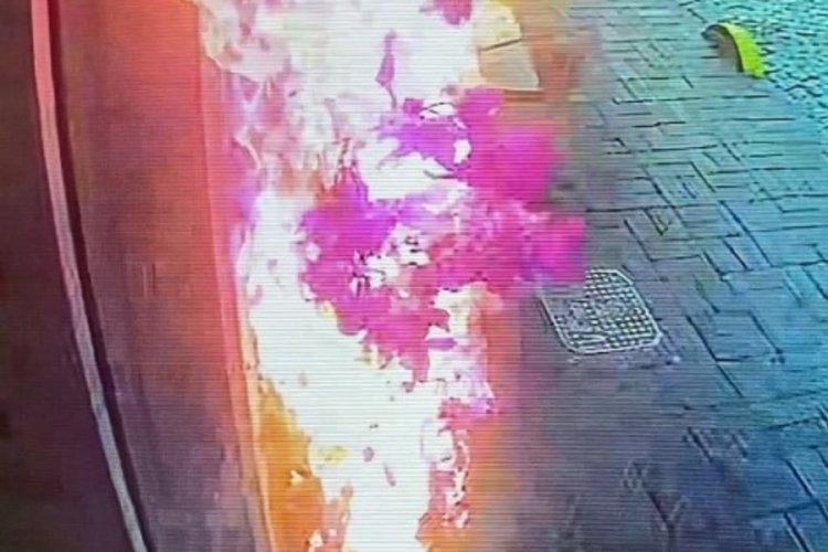 İstanbul'da otele ait suni &ccedil;i&ccedil;ekleri koparan kişi yangın &ccedil;ıkardı