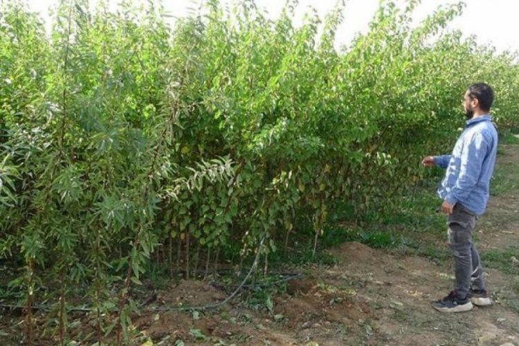 Malatya'da &uuml;reticiler iş&ccedil;i bulmakta g&uuml;&ccedil;l&uuml;k &ccedil;ekiyor!