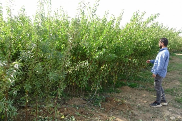 Malatya'da &uuml;reticiler iş&ccedil;i bulmakta g&uuml;&ccedil;l&uuml;k &ccedil;ekiyor