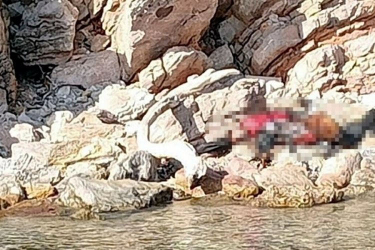Bodrum'da can yelekli ceset bulundu