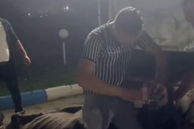 Sakarya'da skandal olay! İneğe zorla alkol i&ccedil;irdiler