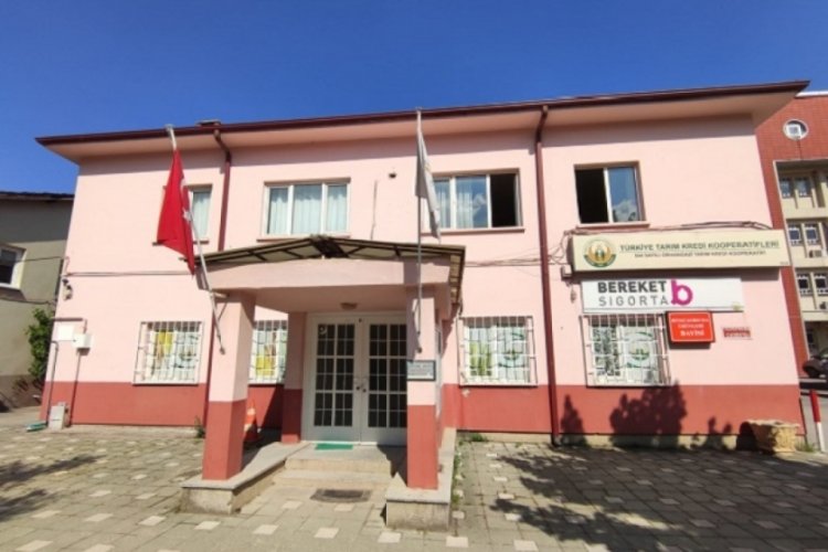 Tarım Kredi'nin zeytin alım fiyatları Marmarabirlik'in &ccedil;ok altında&nbsp;kaldı!