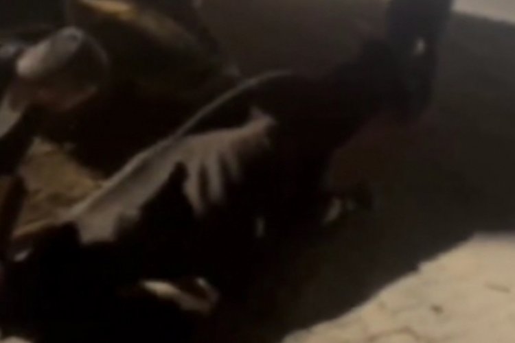 Sakarya'da ineğe i&ccedil;ki i&ccedil;irip, kayda alan 4 ş&uuml;pheliye para cezası