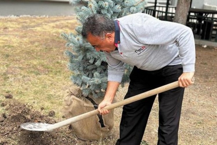 Cumhuriyet'in simgesi mavi ladin, Demir&ouml;ren Medya bah&ccedil;esinde