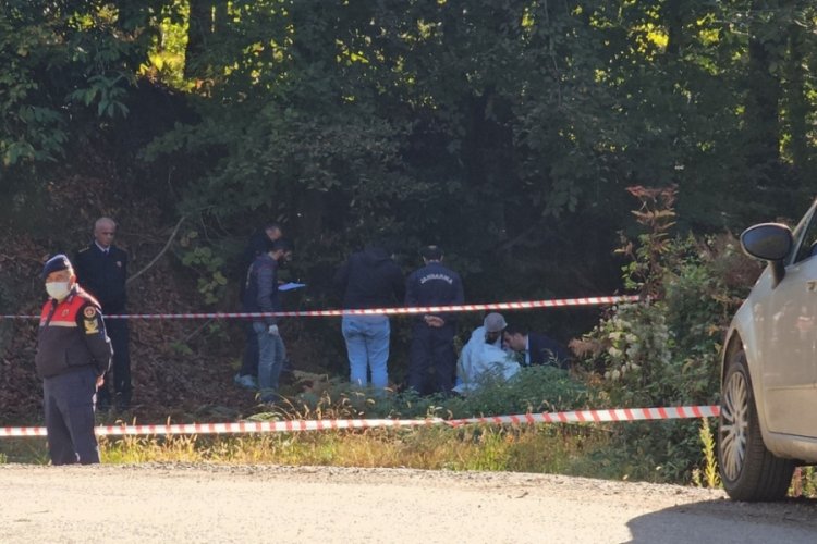 Zonguldak'ta ormanda yanmış ceset bulundu