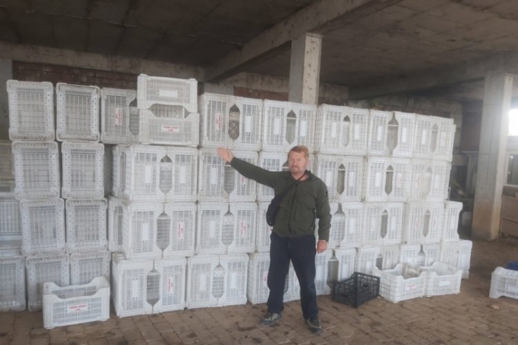 Tarım Kredi zeytin &uuml;reticisini y&uuml;z&uuml;st&uuml; bıraktı