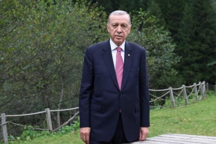 Cumhurbaşkanı Erdoğan paylaştı! Her ile 100. Yıl Cumhuriyet Ormanı kurulacak