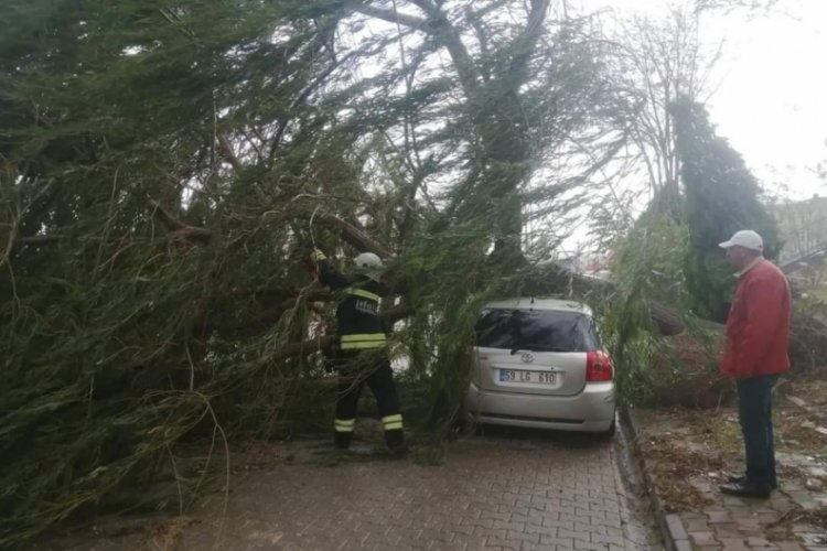 Tekirdağ'da fırtına! Ağa&ccedil;lar devrildi